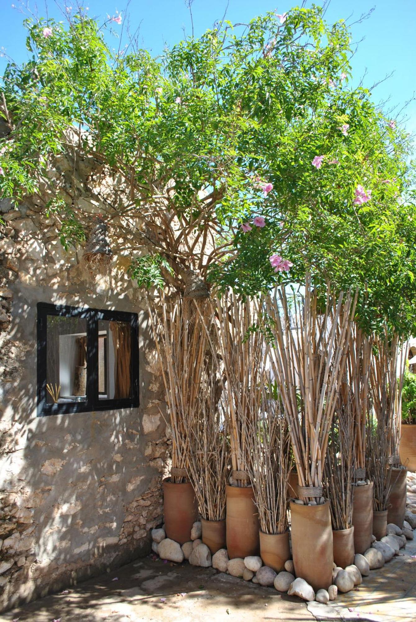 Maison Sidi et Lalla Essaouira Extérieur photo