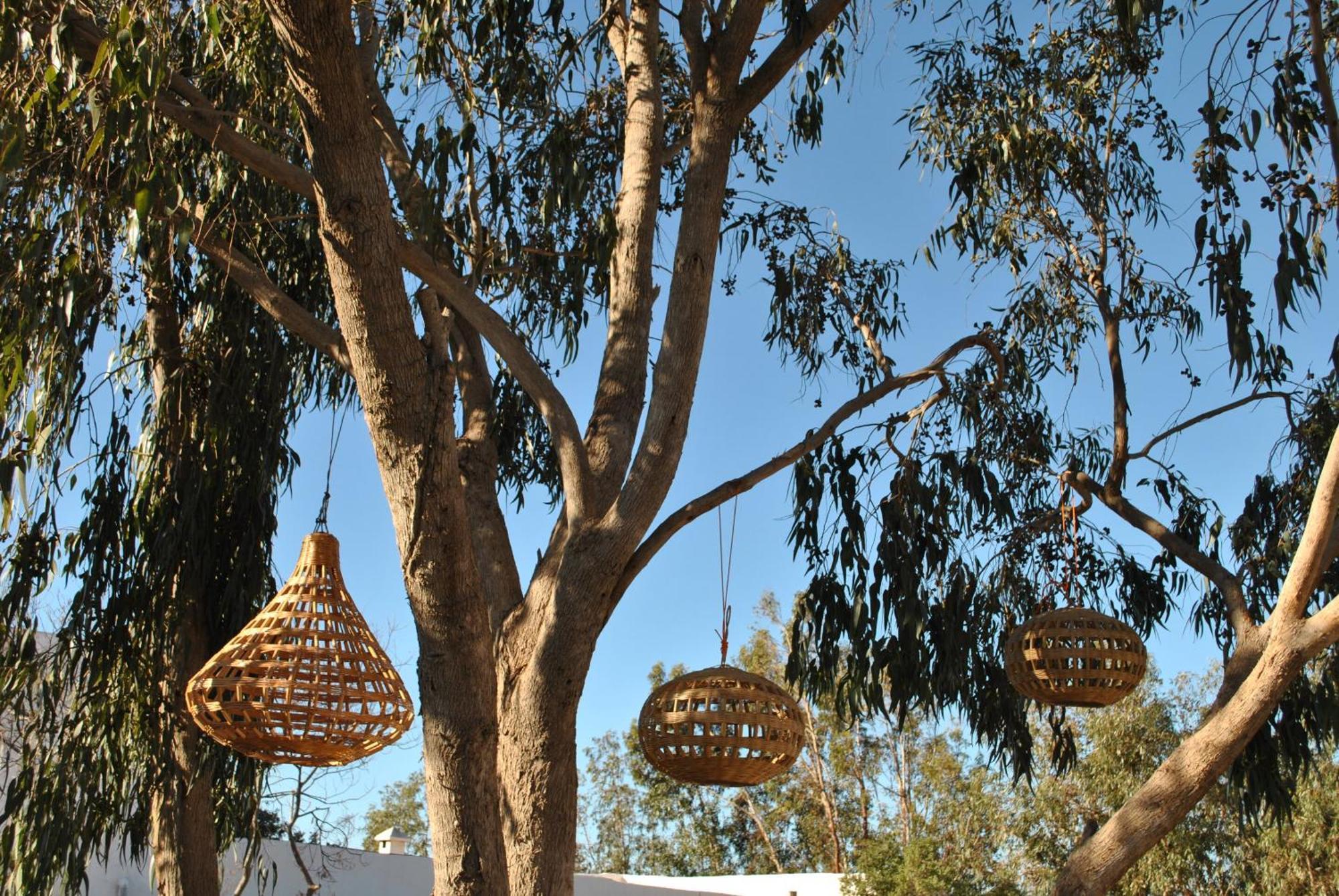 Maison Sidi et Lalla Essaouira Extérieur photo